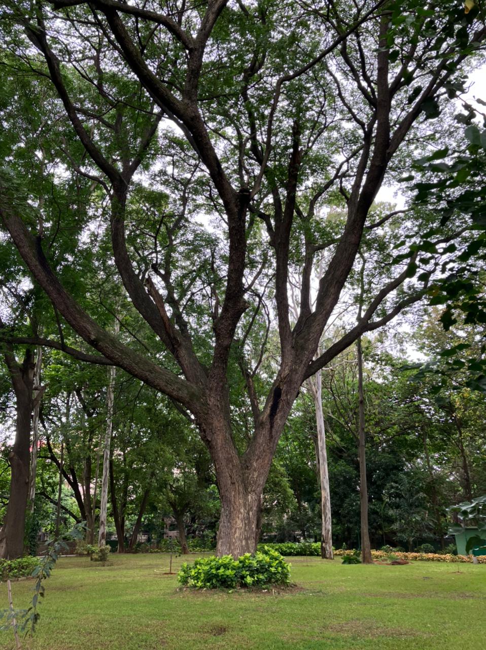 Bengaluru Military Memorial